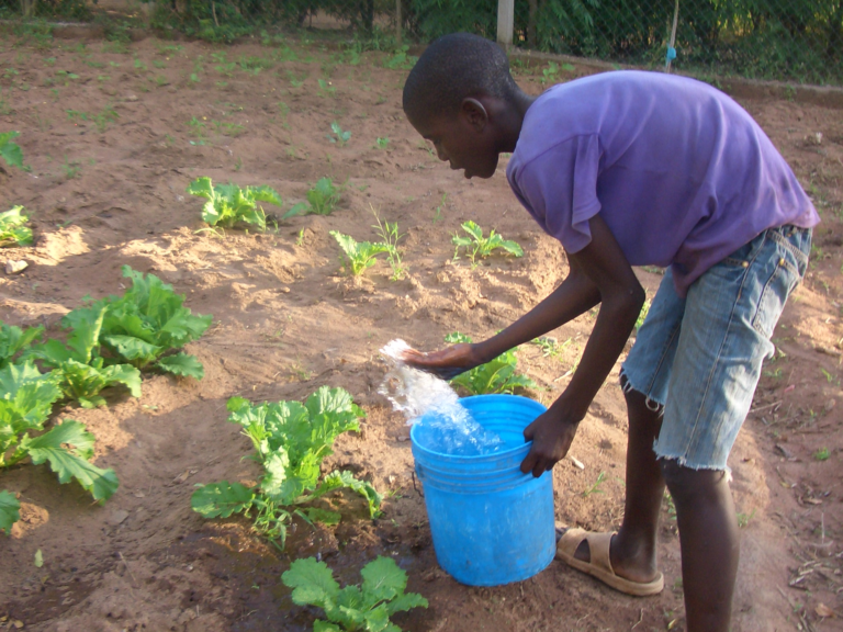 The children learn to be self-sufficient. The boys take care of the chickens, maintain a vegetable garden, and in the evening they help with cooking the meal.